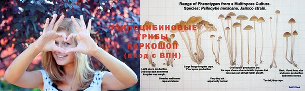 марки lsd Волосово
